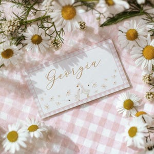 Silly Goose Place Card Template Printable, Flat Place Cards, Baby Shower Place Cards, Pink Editable Place Cards Pink Baby Girl, FLAT