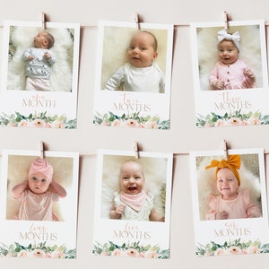 Fotos ONEderful del primer año, fotos de hitos del primer cumpleaños, fotos del mes del primer año, pancarta fotográfica mensual, cumpleaños ONEderful, flores rosas