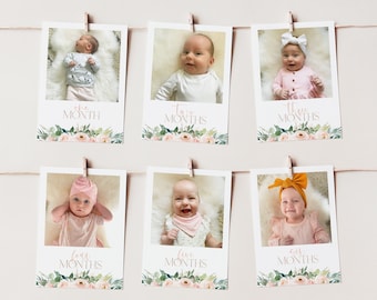 ONEderful First Year Photos, 1st Birthday Milestone Photos, First Year Month Photos, Monthly Photo Banner, ONEderful Birthday, Pink Floral