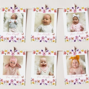 Wildflower First Year Photos, Floral Birthday Milestone Photos, Baby&#39;s First Year Month Photos, Monthly Photo Banner, Girls Photo Banner