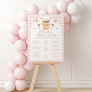 May include: A pink and white gingham-patterned sign on a wooden easel, with the text "Phoebe's First Year". The sign includes details about the baby's first year, including height of 28 inches, weight of 20 pounds, and 5 teeth. Pink and white balloons surround the sign.