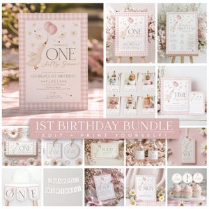 One Silly Goose 1st Birthday Bundle, Daisy Goose Invite First Birthday Bundle, 1st Birthday Girl, Pink Gingham Silly Goose Birthday Vintage