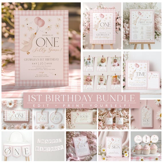 One Silly Goose 1st Birthday Bundle, Daisy Goose Invite First Birthday Bundle, 1st Birthday Girl, Pink Gingham Silly Goose Birthday Vintage