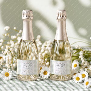 Silly Goose Baby Shower Champagne Labels: Sage Green (Printable)