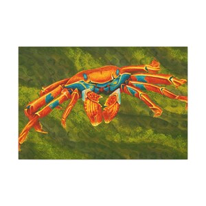 Longshore Drift - Crab Canvas Gallery Wrap, Crab print, Ocean animals, Crab art, #HealthySeasHealthyShores