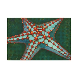 Low Tide - Starfish Canvas Gallery Wrap, Starfish print, Ocean animals, Starfish art, #HealthySeasHealthyShores