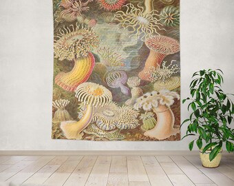 Vintage anemone tapestry, nature tapestry, vintage tapestry, marine life tapestry,vintage illustration,Haeckel art