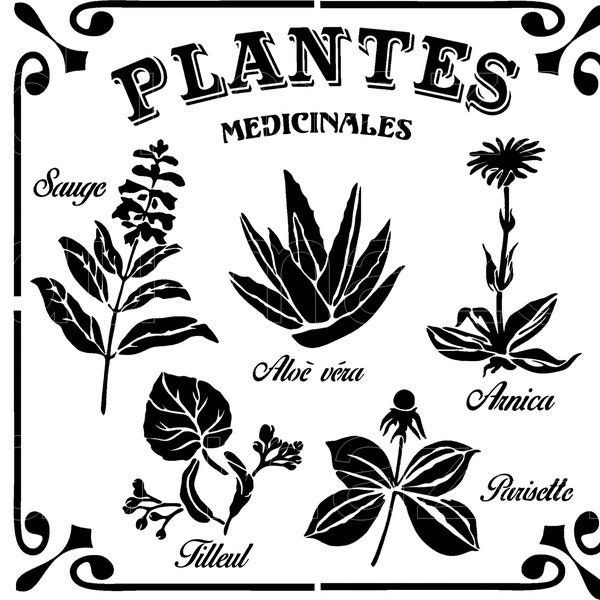 Pochoir pour décoration " Herbes Médicinales "