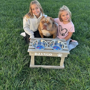 Personalized Stained Double Dog Bowl Stand: Elevated Feeder