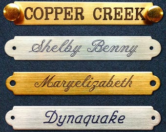 HALTER PLATE Small or Large SADDLE 3" x 1/2" Solid Brass or Nickel Silver Custom Engraved Horse or Pet Collar I.D. Tag