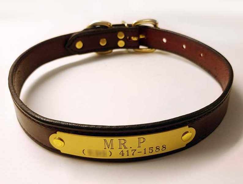 LEATHER DOG COLLAR 3/4 With Custom Engraved Solid Brass Etsy