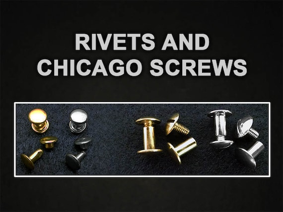 Plate or .050 Nickel Silver Custom Engraved HALTER PLATE LARGE THICK Scalloped Brass I.D