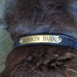 May include: A black leather dog collar with a brass nameplate that reads "LINKIN BARK".