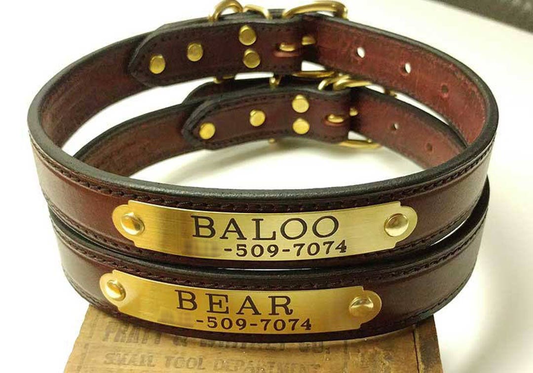 Leather dog collar with brass name plate online