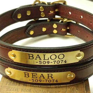 LEATHER DOG COLLAR 1 Inch With Custom Engraved Solid Brass Plate & Two Lines of Engraving