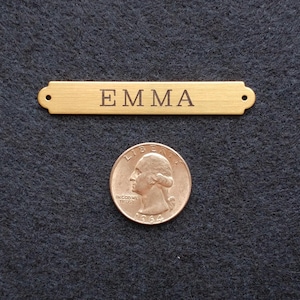 SADDLE BRIDLE BROW Plate XSmall 2 1/2" x 3/8" Solid Brass or Nickel Silver Custom Engraved Horse or Pet Collar I.D. Tag