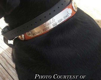 Placa grande para collar de perro o etiqueta de correa personalizada grabada a medida