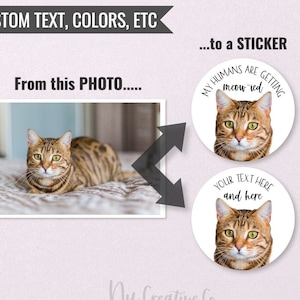 Cat pet custom sticker, Kitten label, Custom Cat Sticker, Wedding event promotion, social media, matte  PETDesigned L.P.