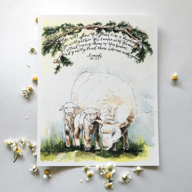 May include: Watercolor painting of a white sheep with two lambs. The sheep is standing in a field of green grass. The painting is framed with a white border and has the text "He will feed His flock like a shepherd. He will gather His lambs with His arm and carry them in His bosom, and gently lead those who are with young. Isaiah 40:11" written in black ink.