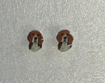 Beagle Acrylic Stud Earrings - FREE SHIPPING