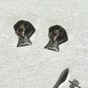 May include: A pair of stud earrings featuring a brown and white German Shorthaired Pointer dog head design.