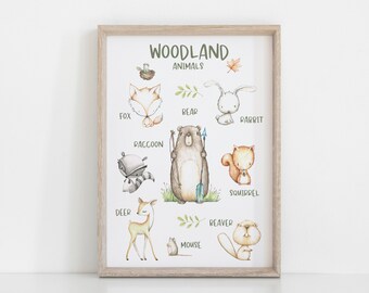 Woodland Animal Educational Wall Print, Kids Bedroom Wall Art, Nursery Art, Kids Bedroom Decor, Bear, Fox, Racoon, Squirrel, Deer, Rabbit