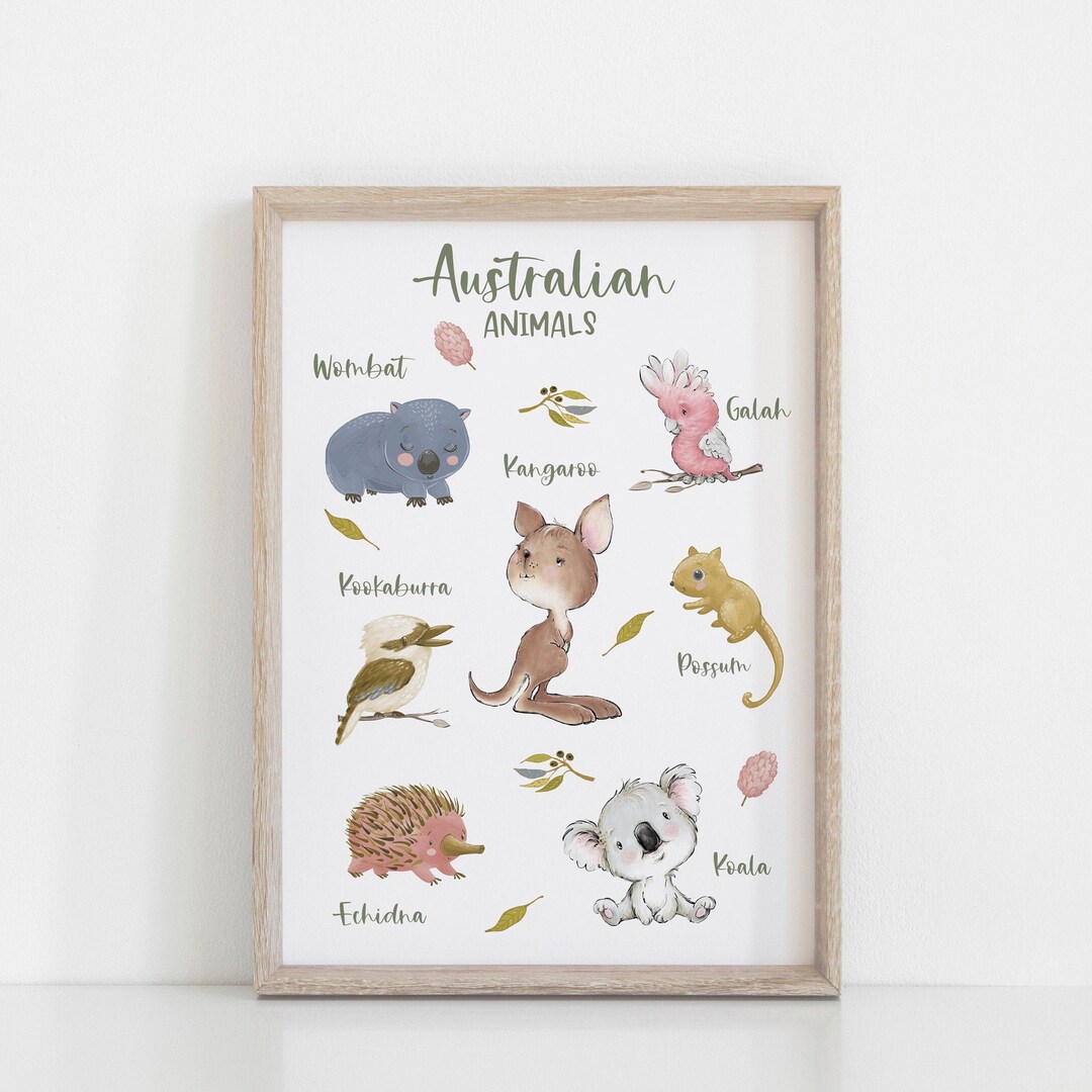 Australian Animal Educational Wall Print, Kids Bedroom Wall Art ...