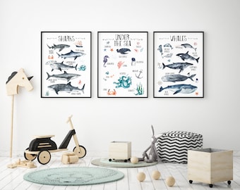 Under the Sea Oceanic Wall Print Set of 3, Whales & Sharks Educational Kids Bedroom Wall Art, Nautical Theme, Nursery Kids Bedroom Decor
