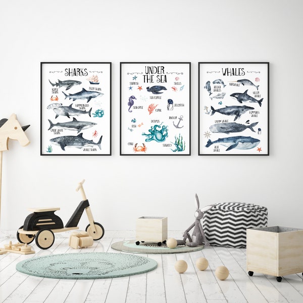 Under the Sea Oceanic Wall Print Set of 3, Whales & Sharks Educational Kids Bedroom Wall Art, Nautical Theme, Nursery Kids Bedroom Decor