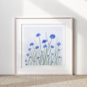 Blue Cornflowers Print, 6x6, 8x8, 10x10, 12x12, Giclee Print, Watercolor Flower Print, Art Wall Decor, Flower Art, Blue and purple