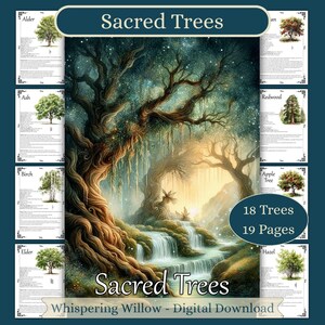 Sacred Trees, Trees in Witchcraft, Herbal Grimoire, Book of Shadows, Baby Witch Herb Correspondences, Witch Pages Printable