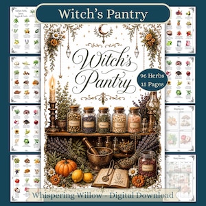 Puede incluir: Una descarga digital titulada Witch's Pantry que incluye 96 hierbas y 15 páginas. La ilustración muestra frascos de vidrio con hierbas, un mortero, una calabaza, limones y un libro abierto en un estante, rodeado de motivos florales y celestiales.