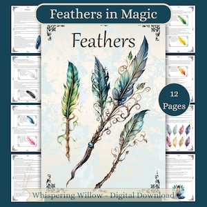 Feathers in Magic: betekenis en symboliek, Grimoire-pagina's met schaduwboek (digitale pdf-download)