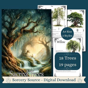 Sacred Trees, Trees in Witchcraft, Herbal Grimoire, Book of Shadows, Baby Witch Herb Correspondences, Witch Pages Printable