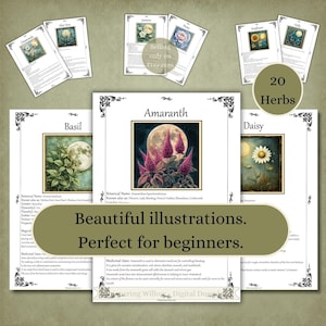 Puede incluir: Una colecci&oacute;n de veinte tarjetas informativas de hierbas con ilustraciones bot&aacute;nicas e im&aacute;genes de la luna. Cada tarjeta muestra el nombre de una planta, como Amaranto, Albahaca o Margarita, junto con detalles bot&aacute;nicos y usos medicinales.