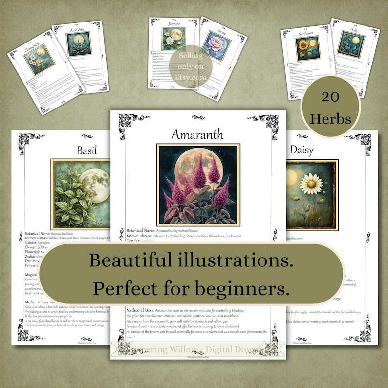 Puede incluir: Una colecci&oacute;n de veinte tarjetas informativas de hierbas con ilustraciones bot&aacute;nicas e im&aacute;genes de la luna. Cada tarjeta muestra el nombre de una planta, como Amaranto, Albahaca o Margarita, junto con detalles bot&aacute;nicos y usos medicinales.