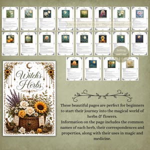 Puede incluir: Una colecci&oacute;n de p&aacute;ginas de descarga digital tituladas Witch's Herbs, con ilustraciones de flores y hierbas en una cesta tejida. Cada p&aacute;gina incluye nombres bot&aacute;nicos, correspondencias m&aacute;gicas y propiedades medicinales de varias plantas.