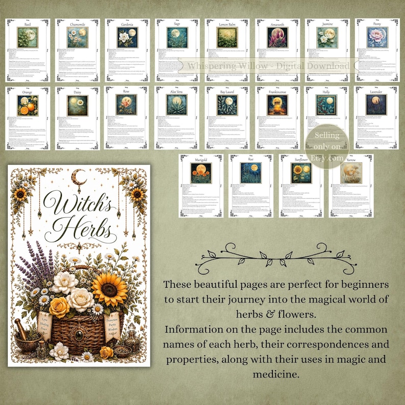 Puede incluir: Una colecci&oacute;n de p&aacute;ginas de descarga digital tituladas Witch's Herbs, con ilustraciones de flores y hierbas en una cesta tejida. Cada p&aacute;gina incluye nombres bot&aacute;nicos, correspondencias m&aacute;gicas y propiedades medicinales de varias plantas.
