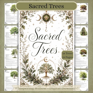 Páginas del grimorio de los árboles sagrados, Correspondencias de los árboles de brujería, Libro de las sombras de la bruja principiante (Descarga digital)