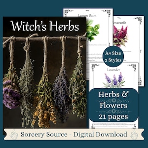 Witch&#39;s Herbs Guide, Herbs in Witchcraft, Book of Shadows Grimoire Pages, Baby Witch Herb Correspondences