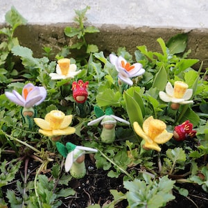 Waldorf inspired flower peg dolls: snowdrop, daffodil, crocus and tulip