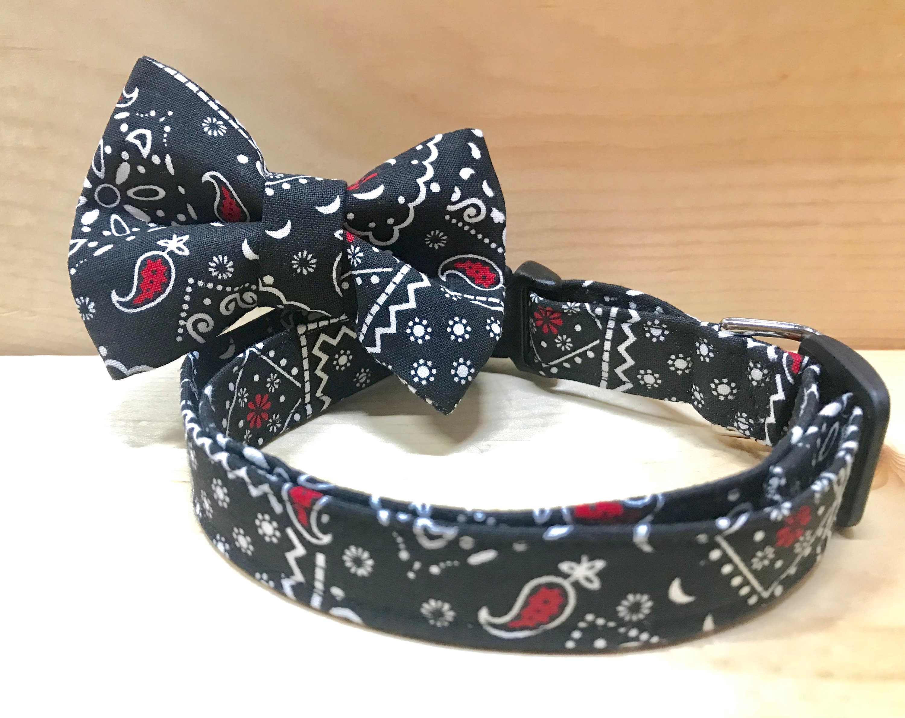 Black Cat Collar Fall Cat Collar bandana Kitten Collar Etsy