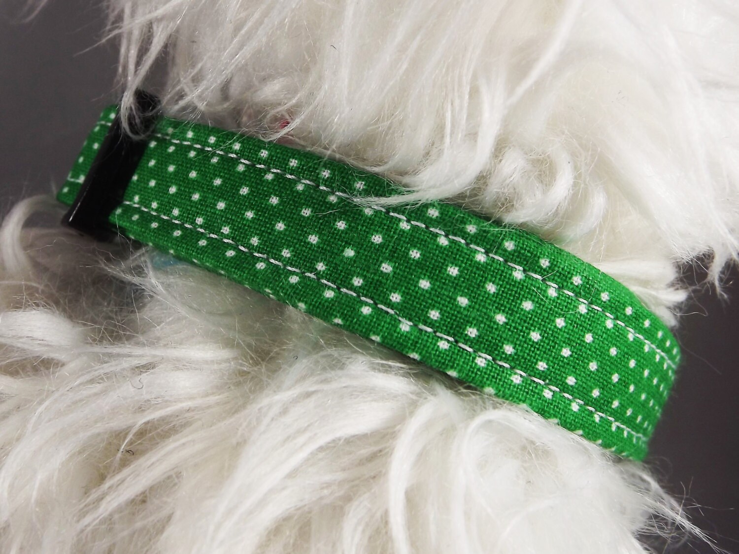 Green Cat Collar Kitten Collar Breakaway Cat Collar St. Etsy