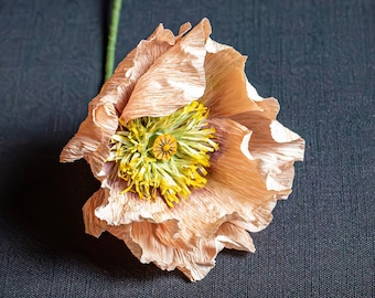 Crepe Paper Mohnblume / Pfirsich Islandmohn