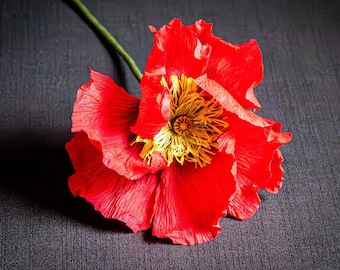 Realistische Islandmohnblumen aus Krepppapier – rote isländische Mohnblumen