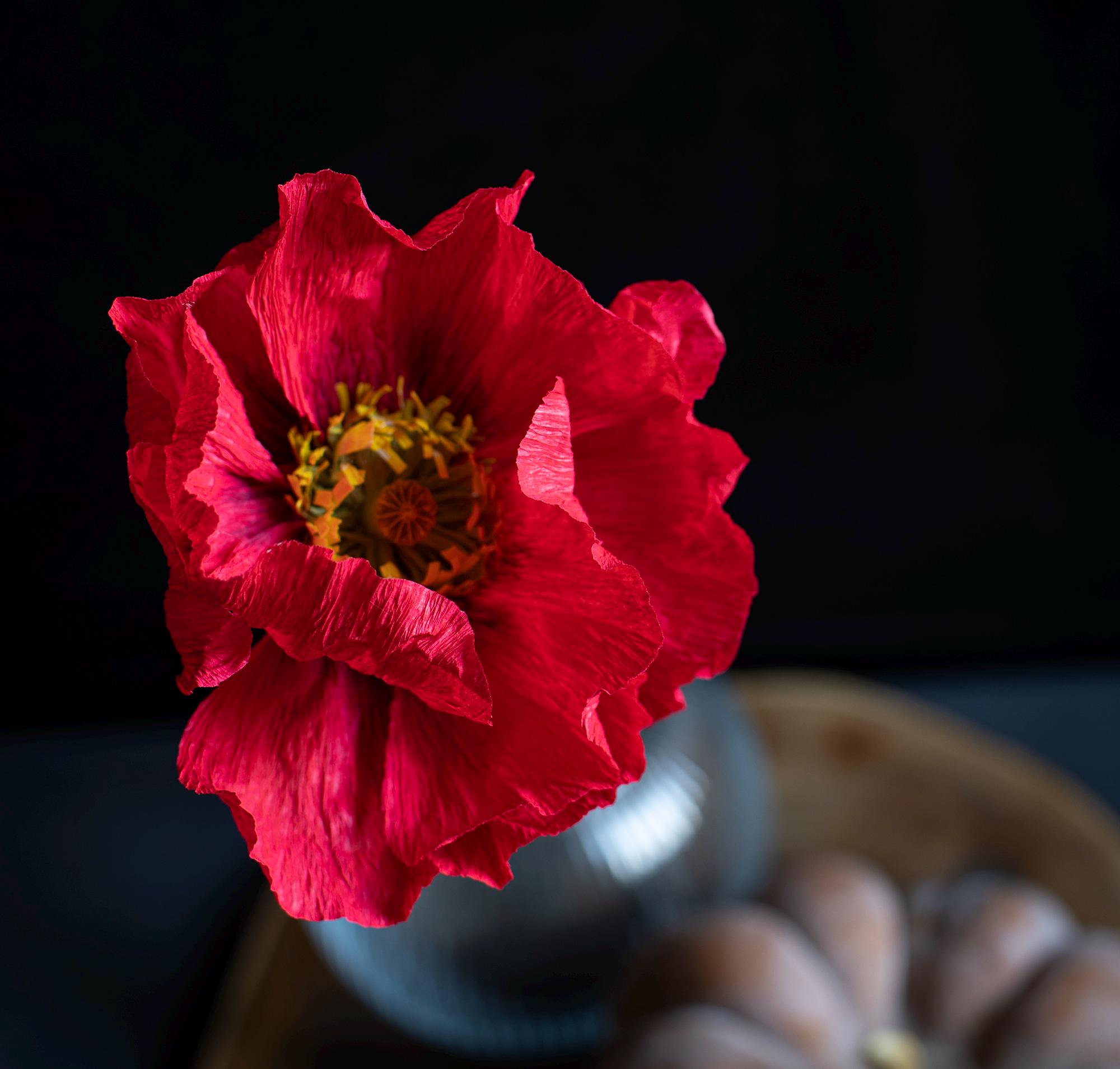 リアルなアイスランドポピーのクレープ紙の花 - 赤いアイスランド 