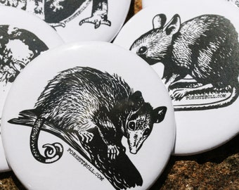 Large Creature Pins! 2.25 inch! Goblincore cryptid woodland toad snail rat opossum turtle