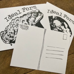 Ideal Form Postcard Bundle| Toads, Snails, and Mushrooms Nonbinary cottagecore