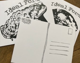Ideal Form Postcard Bundle| Toads, Snails, and Mushrooms Nonbinary cottagecore