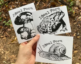 Ideal Form Postcard Bundle| Toads, Snails, and Mushrooms Nonbinary cottagecore